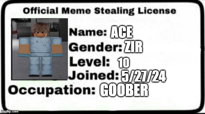 Meme Stealing License | ACE; ZIR; 10; 5/27/24; GOOBER | image tagged in meme stealing license | made w/ Imgflip meme maker