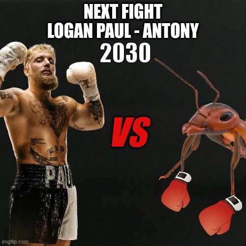 OMG!!! LOGAN PAUL NEXT FIGHT LEAKED!!! WHO WILL WIN!?! | NEXT FIGHT
LOGAN PAUL - ANTONY; 2030; VS | image tagged in funny,memes,logan paul,cat fight | made w/ Imgflip meme maker