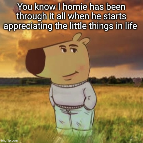 level 100 depression | You know I homie has been through it all when he starts appreciating the little things in life | image tagged in chill guy,so true,depression,zad,sad,life | made w/ Imgflip meme maker