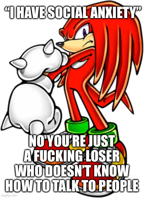 Knuckles The Echidna | “I HAVE SOCIAL ANXIETY” NO YOU’RE JUST A FUCKING LOSER WHO DOESN’T KNOW HOW TO TALK TO PEOPLE | image tagged in knuckles the echidna | made w/ Imgflip meme maker