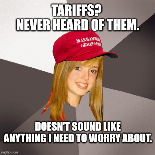 "I just like the cool swag. Red is my favorite color." | TARIFFS?
 NEVER HEARD OF THEM. DOESN'T SOUND LIKE ANYTHING I NEED TO WORRY ABOUT. | image tagged in politically oblivious new voters,economically oblivious new voters,ethically oblivious new voters | made w/ Imgflip meme maker