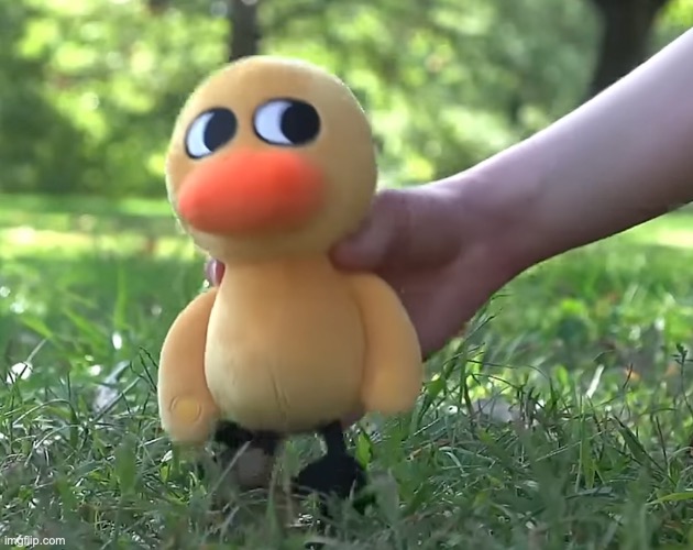 duck song plushie | image tagged in duck song plushie | made w/ Imgflip meme maker