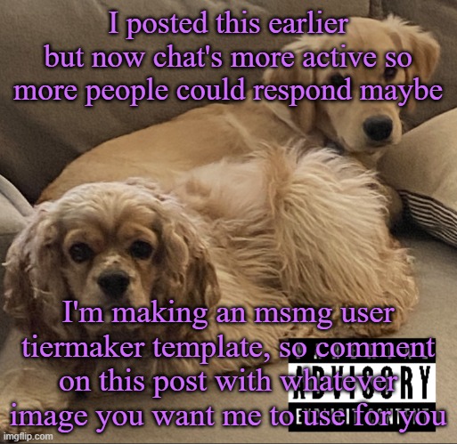 Gnocchi and Henry’s first studio album | I posted this earlier but now chat's more active so more people could respond maybe; I'm making an msmg user tiermaker template, so comment on this post with whatever image you want me to use for you | image tagged in gnocchi and henry s first studio album,cinnabox announcement | made w/ Imgflip meme maker