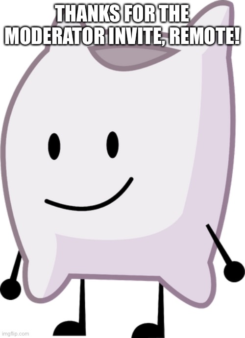 (Remote: Yw) | THANKS FOR THE MODERATOR INVITE, REMOTE! | image tagged in bfdi pillow | made w/ Imgflip meme maker