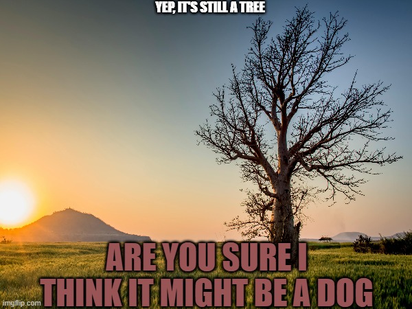 Yea it's a tree | YEP, IT'S STILL A TREE; ARE YOU SURE I THINK IT MIGHT BE A DOG | image tagged in tree | made w/ Imgflip meme maker