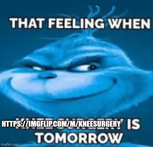 that feeling when knee surgery is tomorrow | HTTPS://IMGFLIP.COM/M/KNEESURGERY | image tagged in that feeling when knee surgery is tomorrow | made w/ Imgflip meme maker