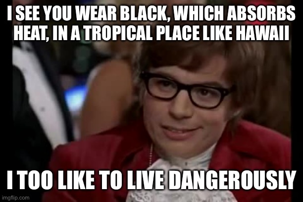 Some vampires are immune to the sun, I guess… | I SEE YOU WEAR BLACK, WHICH ABSORBS HEAT, IN A TROPICAL PLACE LIKE HAWAII; I TOO LIKE TO LIVE DANGEROUSLY | image tagged in memes,i too like to live dangerously,goth,vampire,black,hawaii | made w/ Imgflip meme maker