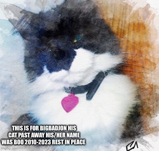 Rest in peace boo | THIS IS FOR BIGBADJON HIS CAT PAST AWAY HIS/HER NAME WAS BOO 2010-2023 REST IN PEACE | made w/ Imgflip meme maker