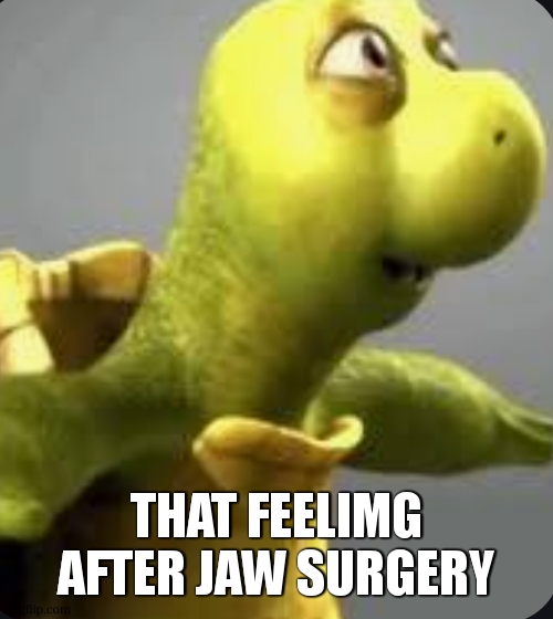 No Jawline Turtle | THAT FEELIMG AFTER JAW SURGERY | image tagged in no jawline turtle | made w/ Imgflip meme maker