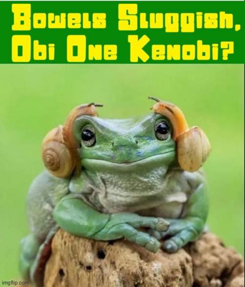 Princess Leia speaks frankly about Constipation | image tagged in vince vance,frog,snails,princess leia,star wars,memes | made w/ Imgflip meme maker