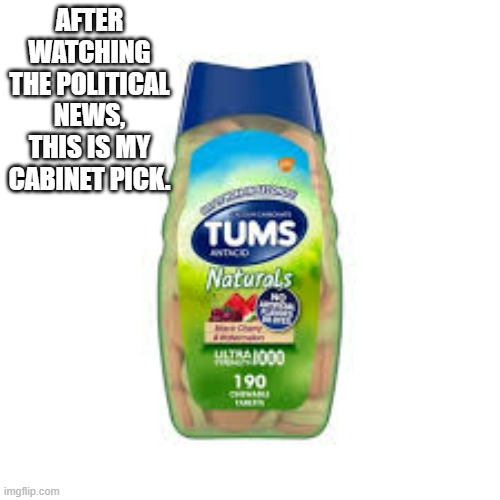 memes by Brad - After watching the political news, this is my cabinet pick. | AFTER WATCHING THE POLITICAL NEWS, THIS IS MY CABINET PICK. | image tagged in funny,political meme,political humor,fox news,donald trump,humor | made w/ Imgflip meme maker