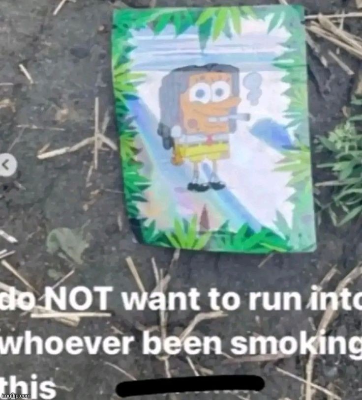 spongecart | made w/ Imgflip meme maker