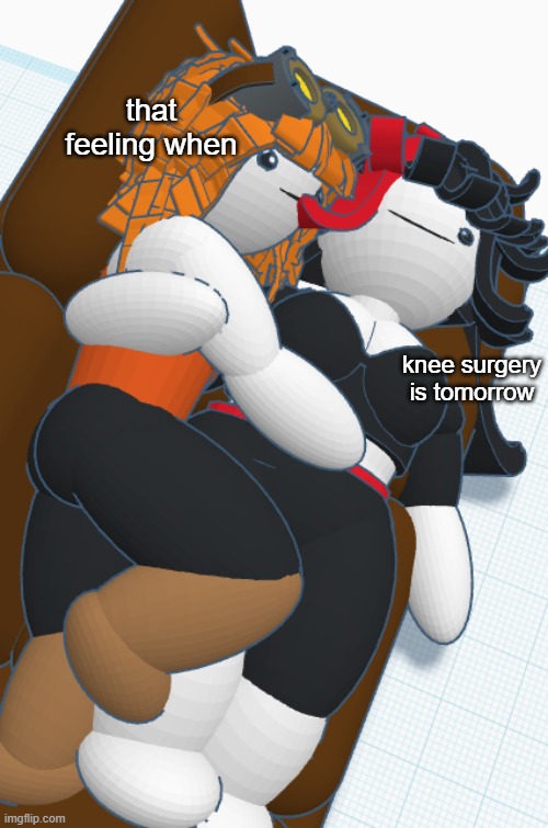 Claire and Gadget cuddling | that feeling when; knee surgery is tomorrow | image tagged in claire and gadget cuddling | made w/ Imgflip meme maker