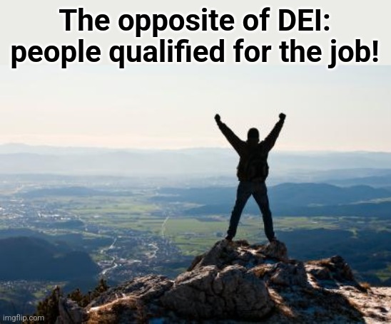 Shout It from the Mountain Tops | The opposite of DEI:
people qualified for the job! | image tagged in shout it from the mountain tops | made w/ Imgflip meme maker