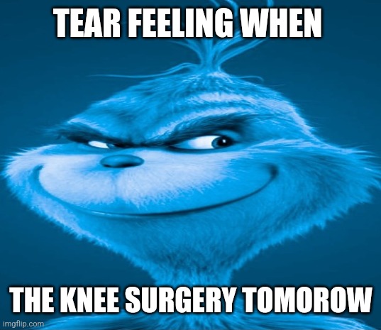 Blue Grinch | TEAR FEELING WHEN THE KNEE SURGERY TOMOROW | image tagged in blue grinch | made w/ Imgflip meme maker