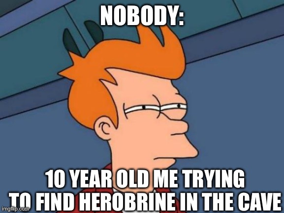 Futurama Fry | NOBODY:; 10 YEAR OLD ME TRYING TO FIND HEROBRINE IN THE CAVE | image tagged in memes,futurama fry | made w/ Imgflip meme maker