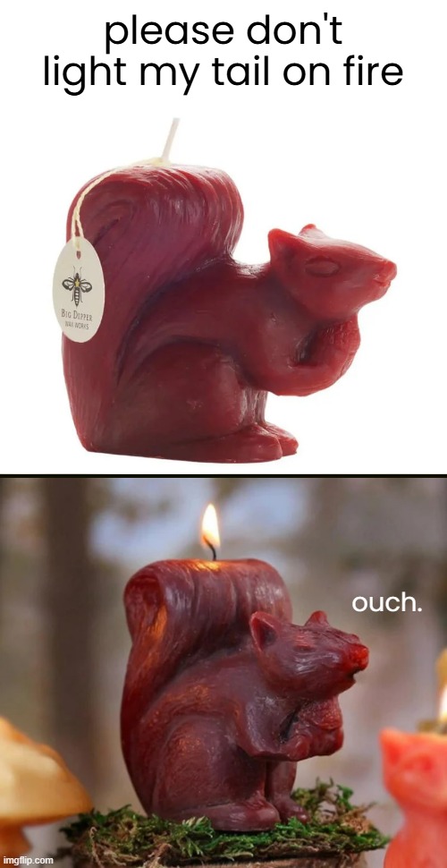 I don't understand animal-shaped candles. | please don't light my tail on fire; ouch. | image tagged in funny memes,squirrels | made w/ Imgflip meme maker