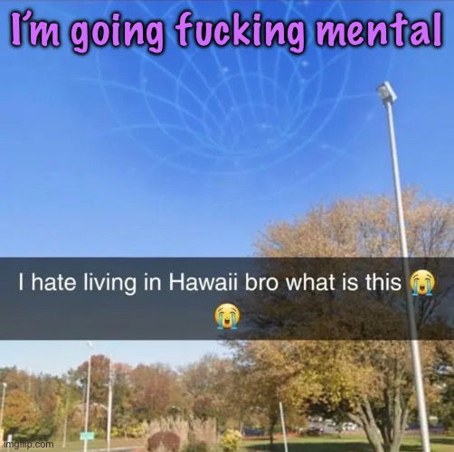 I’m not saying why, that’s stupid | I’m going fucking mental | image tagged in i hate living in hawaii bro what is this,cinnabox announcement | made w/ Imgflip meme maker