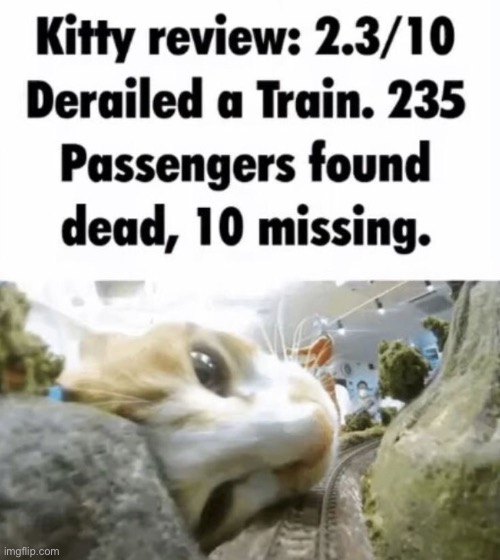 Someone got a bit silly | made w/ Imgflip meme maker