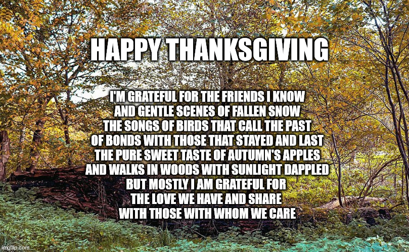 Happy Thanksgiving | HAPPY THANKSGIVING; I'M GRATEFUL FOR THE FRIENDS I KNOW
AND GENTLE SCENES OF FALLEN SNOW

THE SONGS OF BIRDS THAT CALL THE PAST
OF BONDS WITH THOSE THAT STAYED AND LAST

THE PURE SWEET TASTE OF AUTUMN'S APPLES
AND WALKS IN WOODS WITH SUNLIGHT DAPPLED

BUT MOSTLY I AM GRATEFUL FOR 
THE LOVE WE HAVE AND SHARE 
WITH THOSE WITH WHOM WE CARE | image tagged in turkey day,happy thanksgiving,gratitude | made w/ Imgflip meme maker