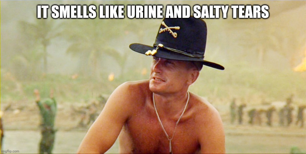 smell of napalm in the morning | IT SMELLS LIKE URINE AND SALTY TEARS | image tagged in smell of napalm in the morning | made w/ Imgflip meme maker