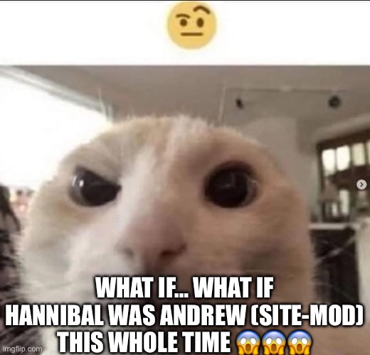 Tragic | WHAT IF… WHAT IF HANNIBAL WAS ANDREW (SITE-MOD) THIS WHOLE TIME 😱😱😱 | image tagged in raised eyebrow cat | made w/ Imgflip meme maker