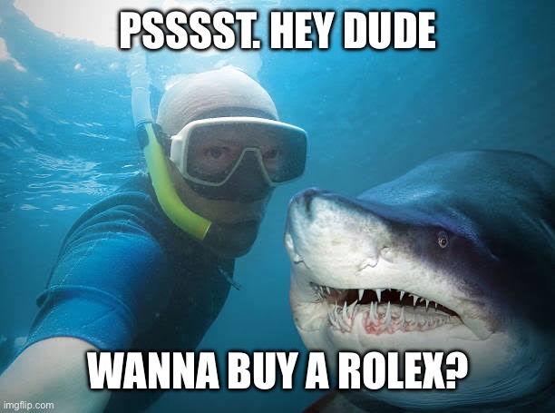 Marine interactions | PSSSST. HEY DUDE; WANNA BUY A ROLEX? | image tagged in funny memes | made w/ Imgflip meme maker