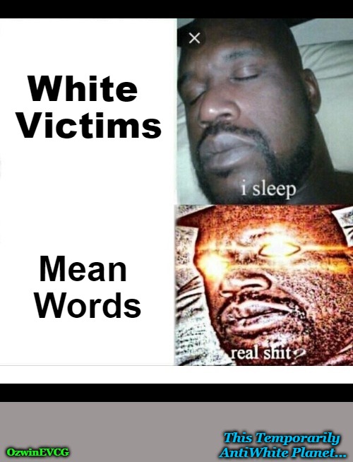 TTAWP | White 

Victims; Mean 

Words; This Temporarily 

AntiWhite Planet... OzwinEVCG | image tagged in sleeping shaq,invasion of the mind snatchers,liberal logic,speech vs violence,white people,antiwhite planet | made w/ Imgflip meme maker