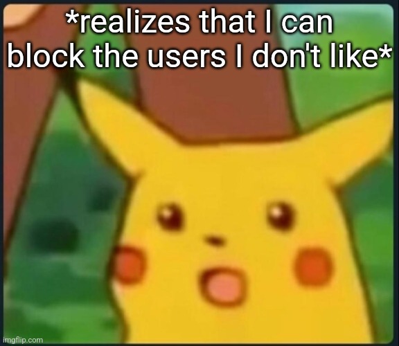 Why didn't I do this before lol | *realizes that I can block the users I don't like* | image tagged in surprised pikachu | made w/ Imgflip meme maker