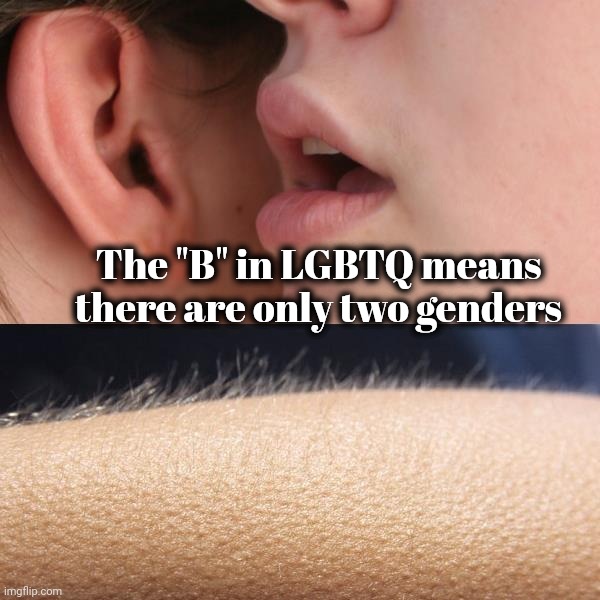 Whisper and Goosebumps | The "B" in LGBTQ means there are only two genders | image tagged in whisper and goosebumps | made w/ Imgflip meme maker