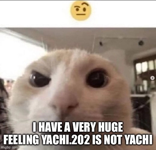 Raised eyebrow cat | I HAVE A VERY HUGE FEELING YACHI.202 IS NOT YACHI | image tagged in raised eyebrow cat | made w/ Imgflip meme maker