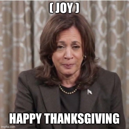 Kamala Responds after Election | ( JOY ); HAPPY THANKSGIVING | image tagged in kamala responds after election,roflmao,donald trump,2024,the hangover,overjoyed | made w/ Imgflip meme maker