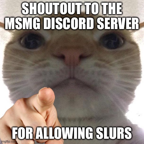 *insert racial slur* | SHOUTOUT TO THE MSMG DISCORD SERVER; FOR ALLOWING SLURS | image tagged in cat point at you | made w/ Imgflip meme maker