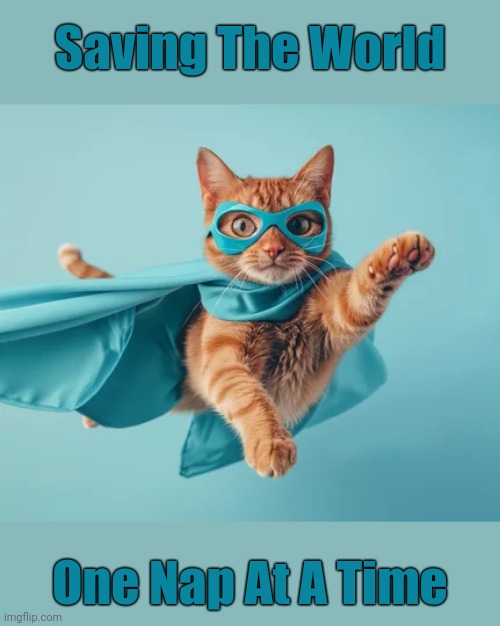 The Purr-fect Superhero | Saving The World; One Nap At A Time | image tagged in memes,cats,superheroes,animals | made w/ Imgflip meme maker