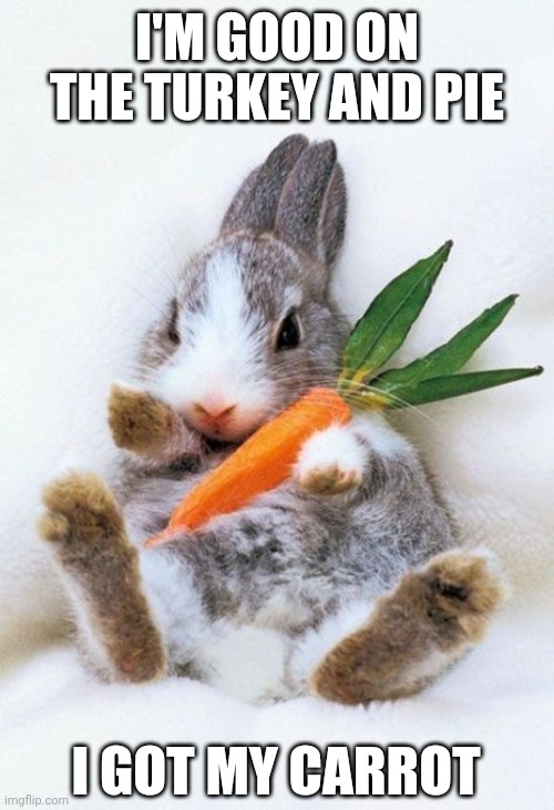 BUNNY DOESN'T NEED ANYTHING ELSE | I'M GOOD ON THE TURKEY AND PIE; I GOT MY CARROT | image tagged in bunny,rabbit,thanksgiving | made w/ Imgflip meme maker