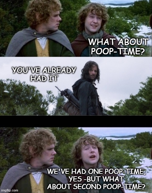 Why it took almost a year for Sam & Frodo to get to Mount Doom | WHAT ABOUT POOP-TIME? YOU'VE ALREADY
HAD IT; WE'VE HAD ONE POOP-TIME,
YES -BUT WHAT ABOUT SECOND POOP-TIME? | image tagged in what about breakfast,hobbits,logistical nightmare | made w/ Imgflip meme maker