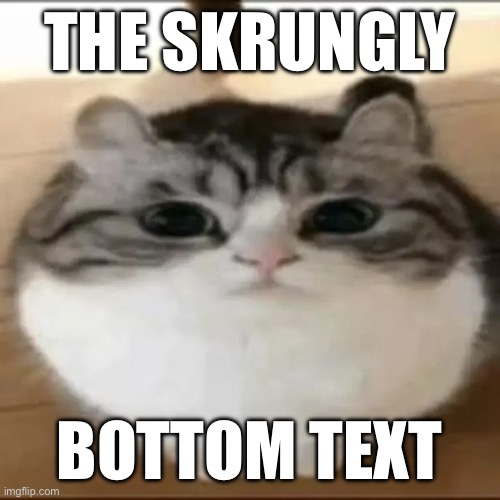 the cate | THE SKRUNGLY; BOTTOM TEXT | image tagged in cate | made w/ Imgflip meme maker