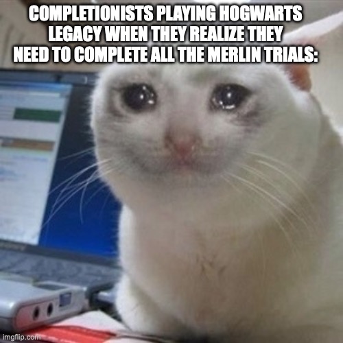 There are so many of them! Why so many of them?! | COMPLETIONISTS PLAYING HOGWARTS LEGACY WHEN THEY REALIZE THEY NEED TO COMPLETE ALL THE MERLIN TRIALS: | image tagged in crying cat,hogwarts,hogwarts legacy,harry potter,merlin,sidequest | made w/ Imgflip meme maker