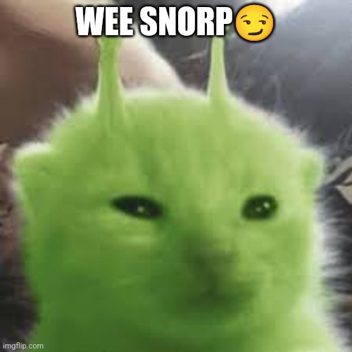 GLORP | WEE SNORP? | image tagged in glorp | made w/ Imgflip meme maker