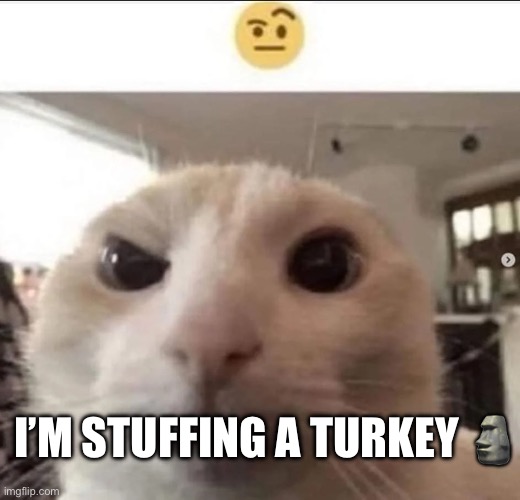 Marinated and cook for tomorrow’s party ;-; | I’M STUFFING A TURKEY 🗿 | image tagged in raised eyebrow cat | made w/ Imgflip meme maker