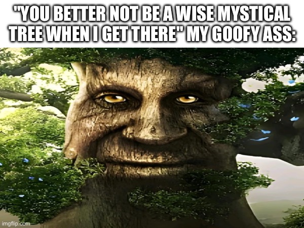 wise mystical tree | "YOU BETTER NOT BE A WISE MYSTICAL TREE WHEN I GET THERE" MY GOOFY ASS: | image tagged in tree | made w/ Imgflip meme maker