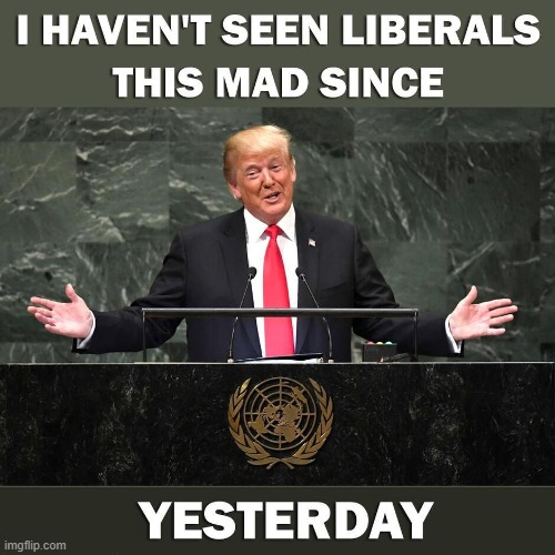9bvyea.jpg