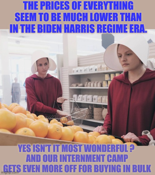 Lefties know it's coming | THE PRICES OF EVERYTHING SEEM TO BE MUCH LOWER THAN IN THE BIDEN HARRIS REGIME ERA. YES ISN'T IT MOST WONDERFUL ? 
AND OUR INTERNMENT CAMP GETS EVEN MORE OFF FOR BUYING IN BULK | image tagged in handmaidens shopping | made w/ Imgflip meme maker