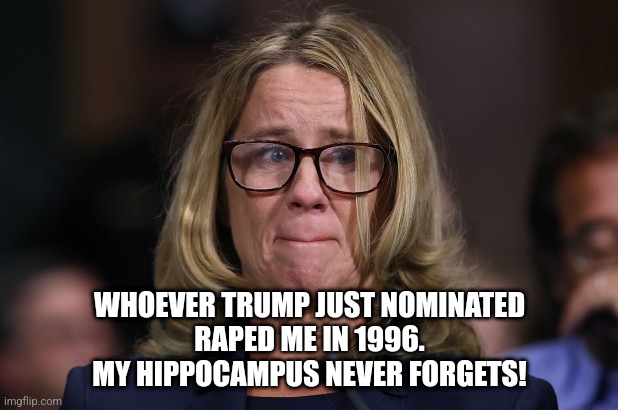 Christine Blasey Ford | WHOEVER TRUMP JUST NOMINATED
RAPED ME IN 1996.
MY HIPPOCAMPUS NEVER FORGETS! | image tagged in christine blasey ford | made w/ Imgflip meme maker