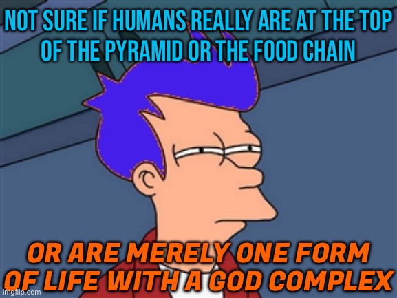 Not Sure If Humans Really Are At The Top Of The Pyramid Or The Food Chain; Or Are Merely One Form Of Life With A God Complex | NOT SURE IF HUMANS REALLY ARE AT THE TOP
OF THE PYRAMID OR THE FOOD CHAIN; OR ARE MERELY ONE FORM OF LIFE WITH A GOD COMPLEX | image tagged in memes,blue futurama fry,human stupidity,evolution,earth,god religion universe | made w/ Imgflip meme maker