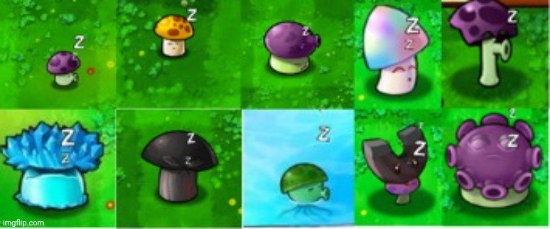 WTF pvz mushrooms Watching Skibidi Toilet | made w/ Imgflip meme maker