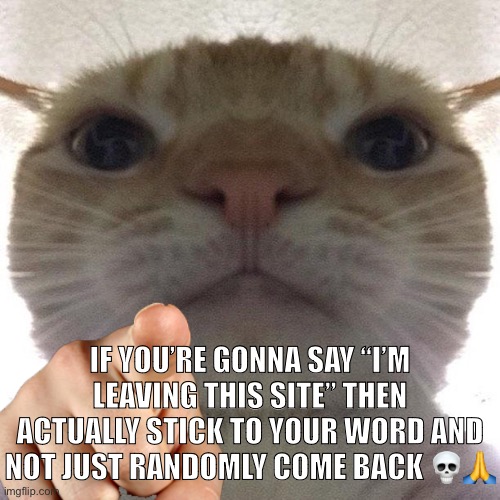 Cat point at you | IF YOU’RE GONNA SAY “I’M LEAVING THIS SITE” THEN ACTUALLY STICK TO YOUR WORD AND NOT JUST RANDOMLY COME BACK 💀🙏 | image tagged in cat point at you | made w/ Imgflip meme maker