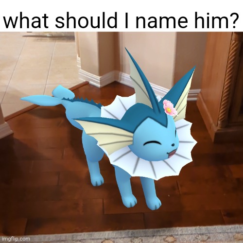 what should I name him? | made w/ Imgflip meme maker