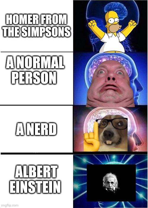 º Brain scale | HOMER FROM THE SIMPSONS; A NORMAL PERSON; A NERD; ALBERT EINSTEIN | image tagged in memes,expanding brain | made w/ Imgflip meme maker