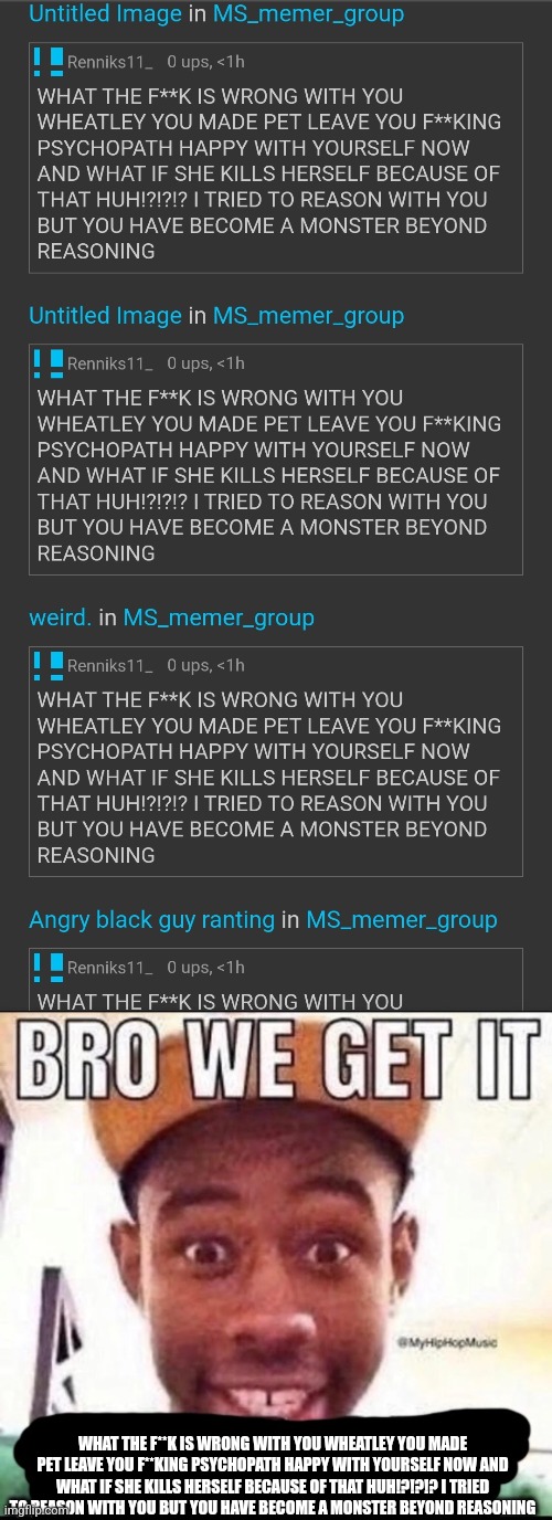 WHAT THE F**K IS WRONG WITH YOU WHEATLEY YOU MADE PET LEAVE YOU F**KING PSYCHOPATH HAPPY WITH YOURSELF NOW AND WHAT IF SHE KILLS | WHAT THE F**K IS WRONG WITH YOU WHEATLEY YOU MADE PET LEAVE YOU F**KING PSYCHOPATH HAPPY WITH YOURSELF NOW AND WHAT IF SHE KILLS HERSELF BECAUSE OF THAT HUH!?!?!? I TRIED TO REASON WITH YOU BUT YOU HAVE BECOME A MONSTER BEYOND REASONING | image tagged in bro we get it blank | made w/ Imgflip meme maker